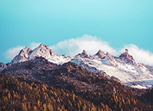 乐鱼官方网站：开启在线娱乐新纪元